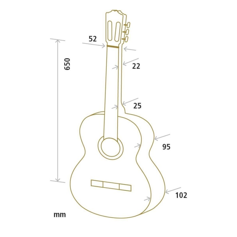 Guitare Cuenca Classique Série 5