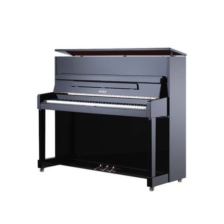 Pianos Acoustiques