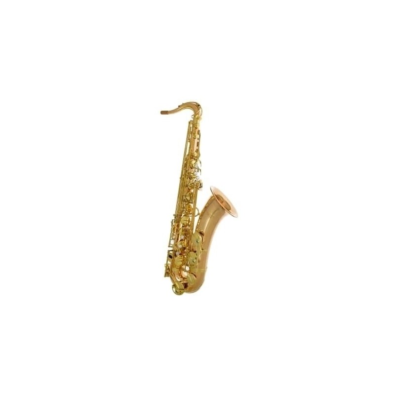 Saxophone Alto YANAGISAWA A-WO2UL