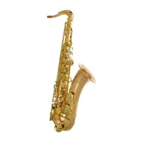 Saxophone Alto YANAGISAWA A-WO2UL