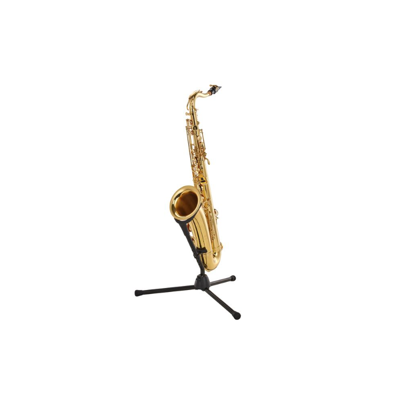 Saxophone Tenor YANAGISAWA T-WO1