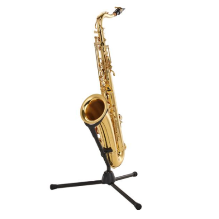 Saxophone Tenor YANAGISAWA T-WO1