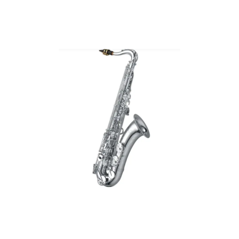 Saxophone Tenor YANAGISAWA T-WO1S