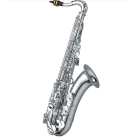 Saxophone Tenor YANAGISAWA T-WO1S