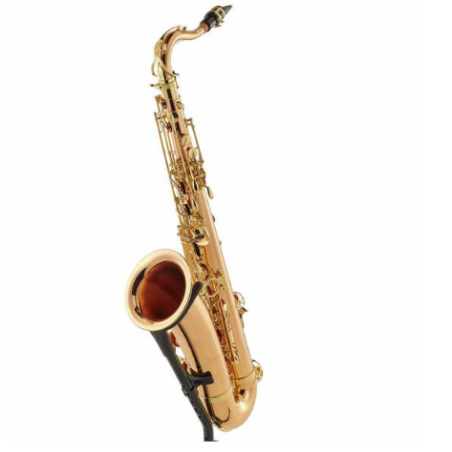 Saxophone Tenor YANAGISAWA T-WO2