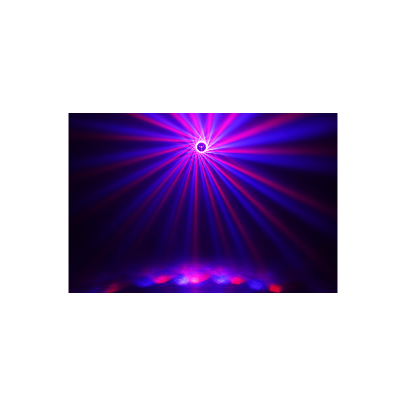 Effet d'animation Combo SUNFLOWER