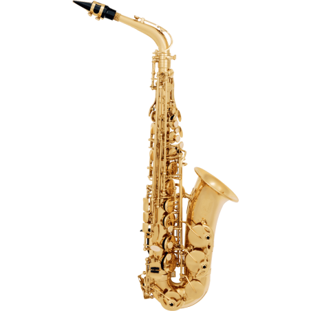 Saxophone SML Alto VSM A300