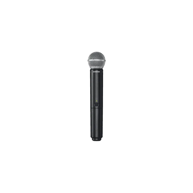 Micro SHURE BLX24E-SM58-M17