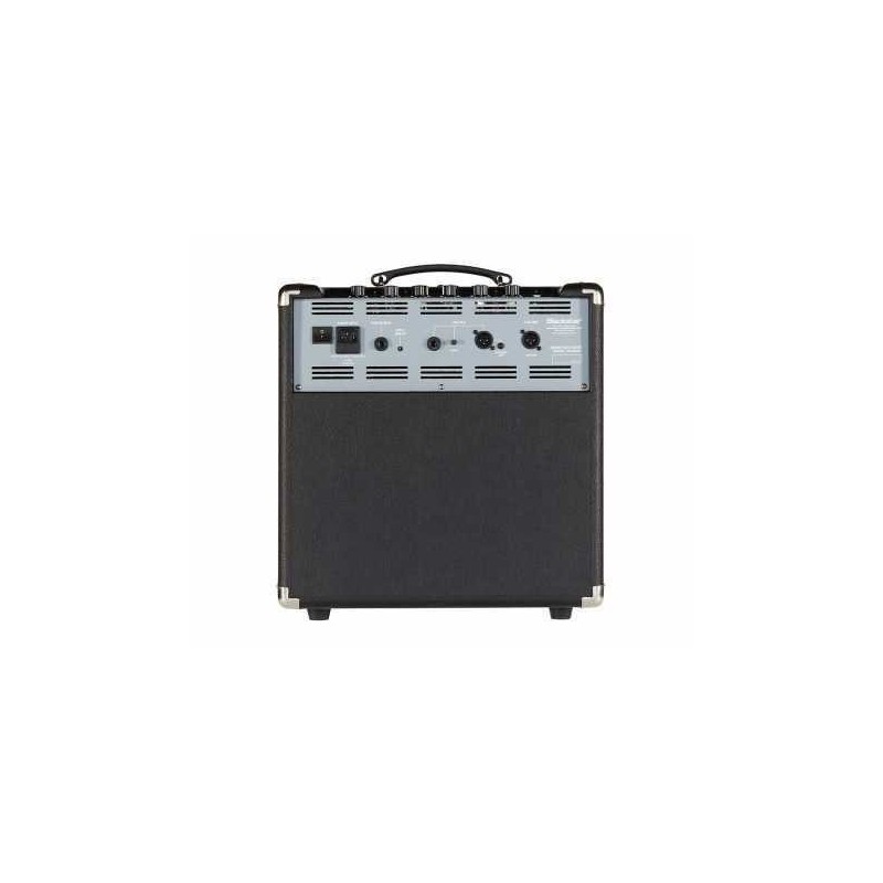 Ampli Basse BLACKSTAR UNITY 30