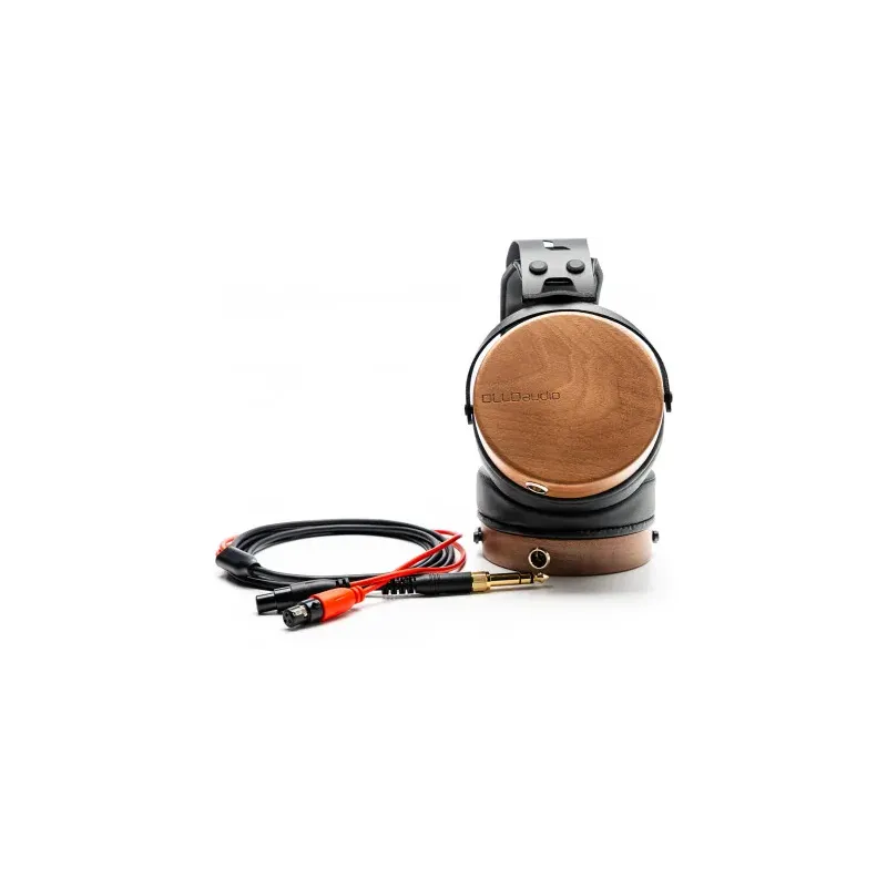 OLLO AUDIO - R1