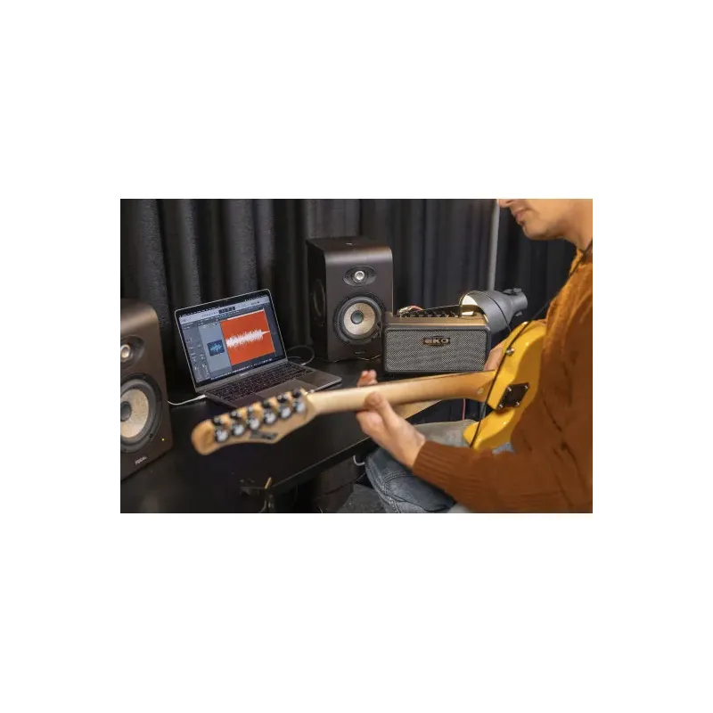 EKO - BAIO-AMP15
