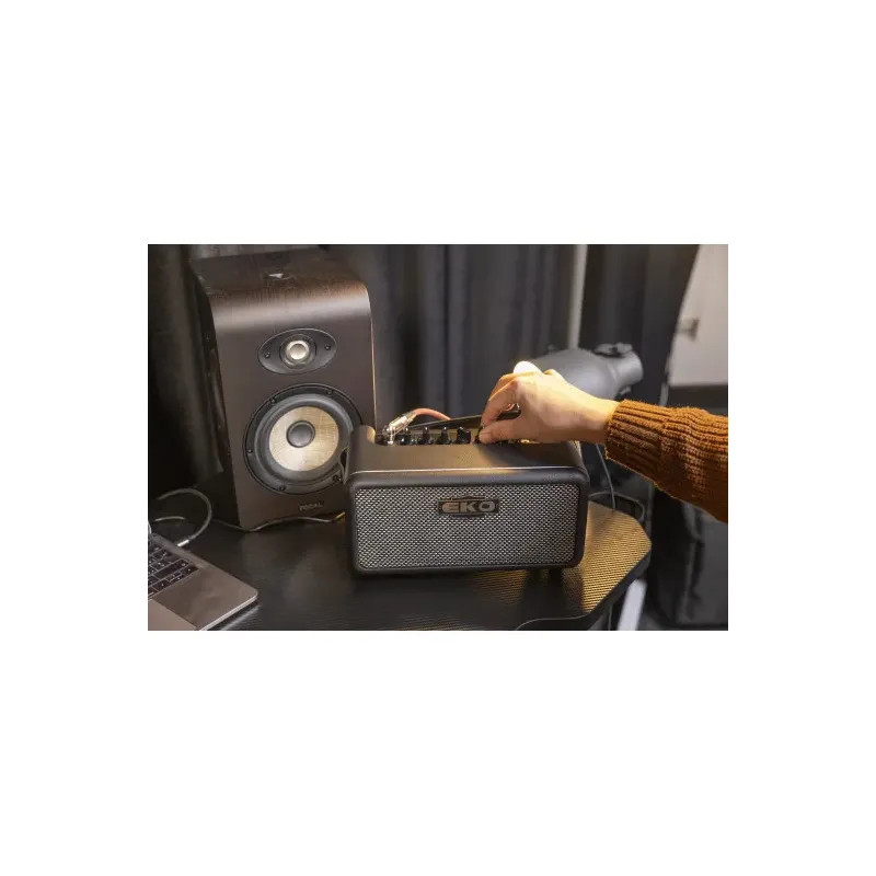 EKO - BAIO-AMP15