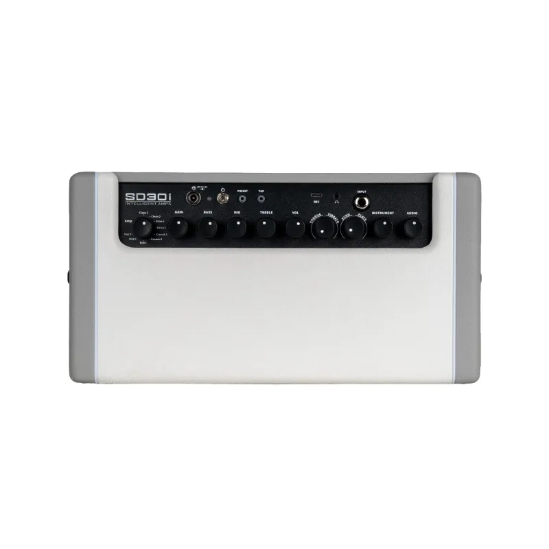 MOOER SD30I 30W 2X4"