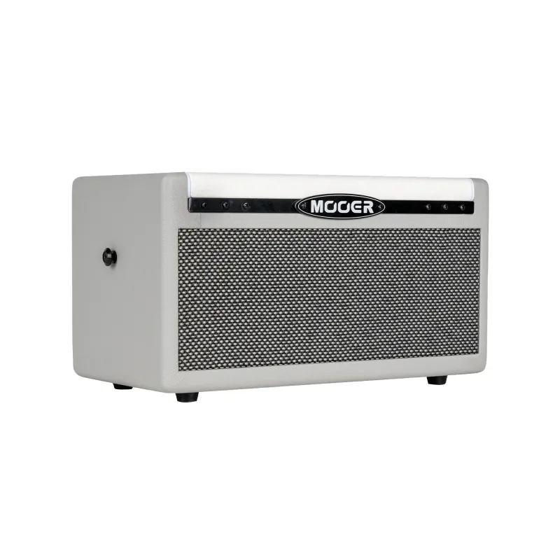 MOOER SD30I 30W 2X4"