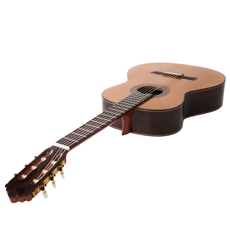 PRODIPE SOLOIST500