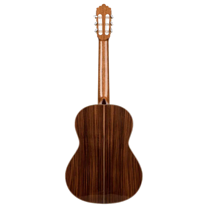 PRODIPE SOLOIST500