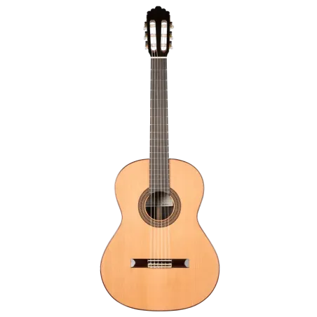 PRODIPE Soloist 500 EQ