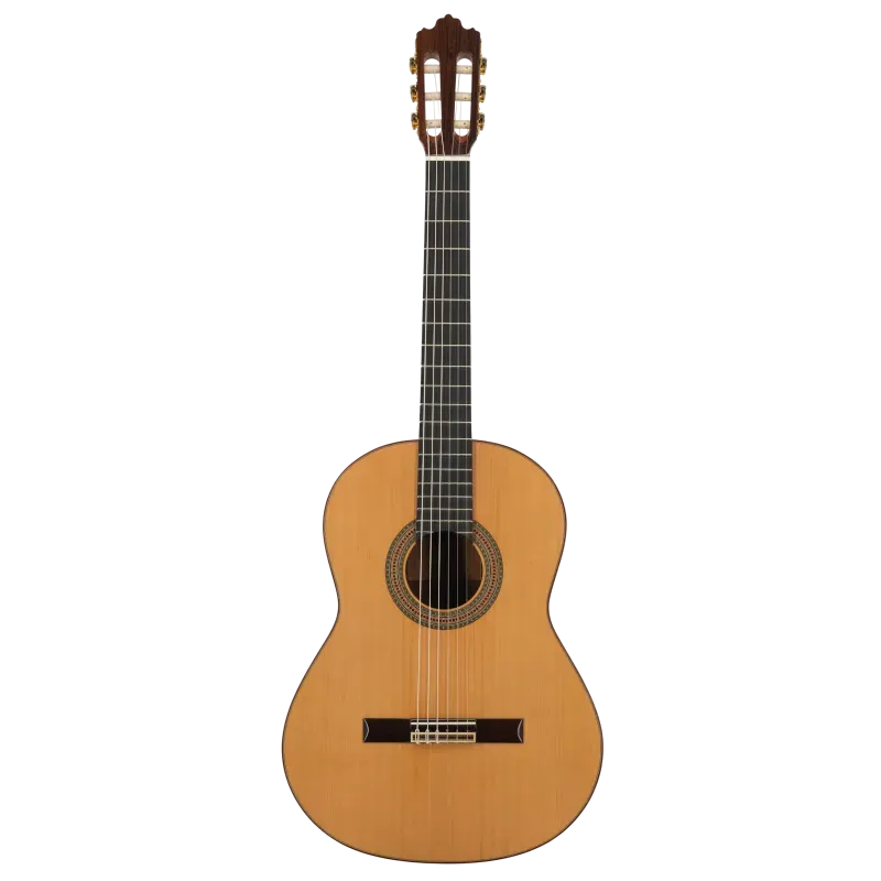 PRODIPE SOLOIST 700