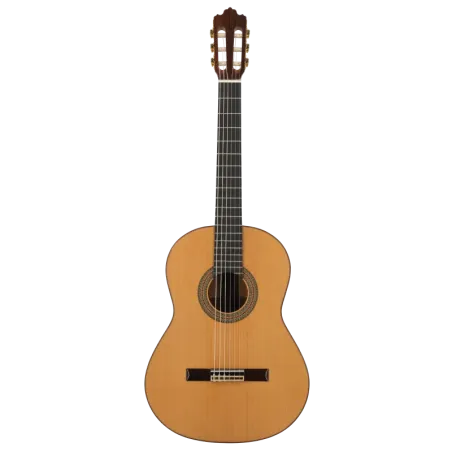 PRODIPE SOLOIST 700