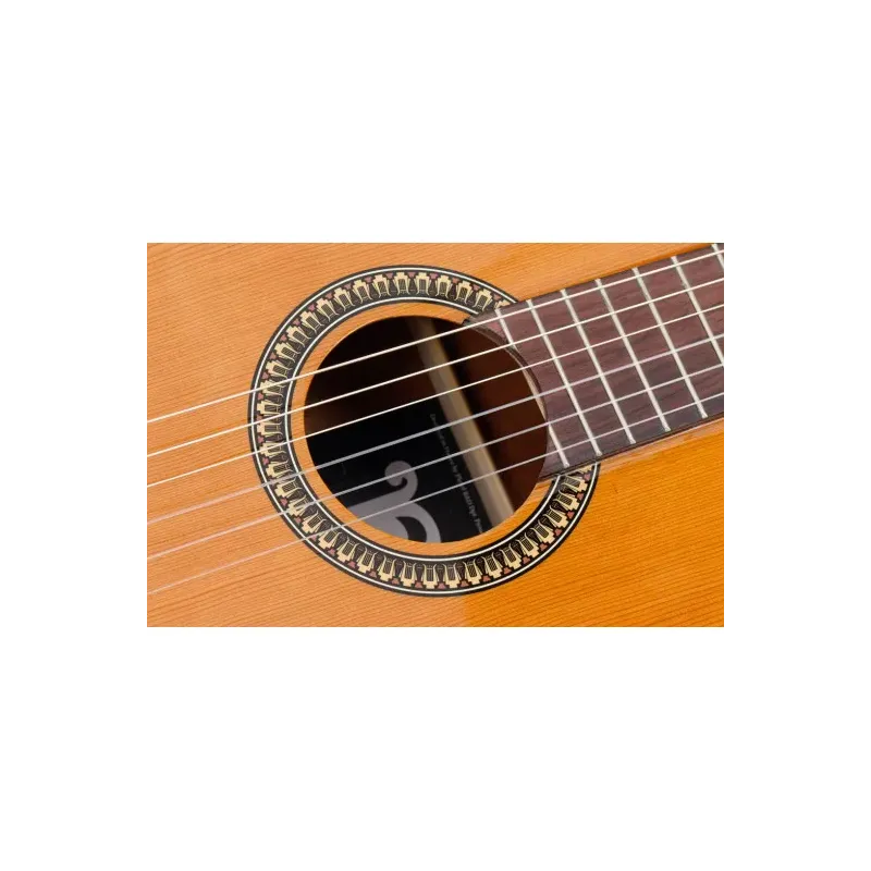 PLEYEL - P200