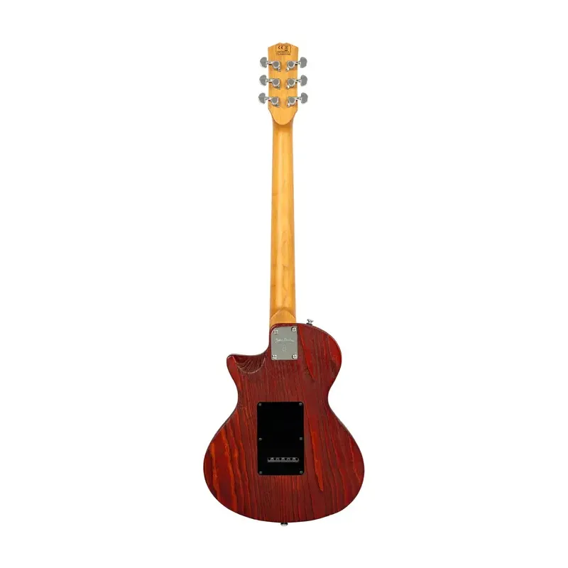 LARRY CARLTON I5S TS