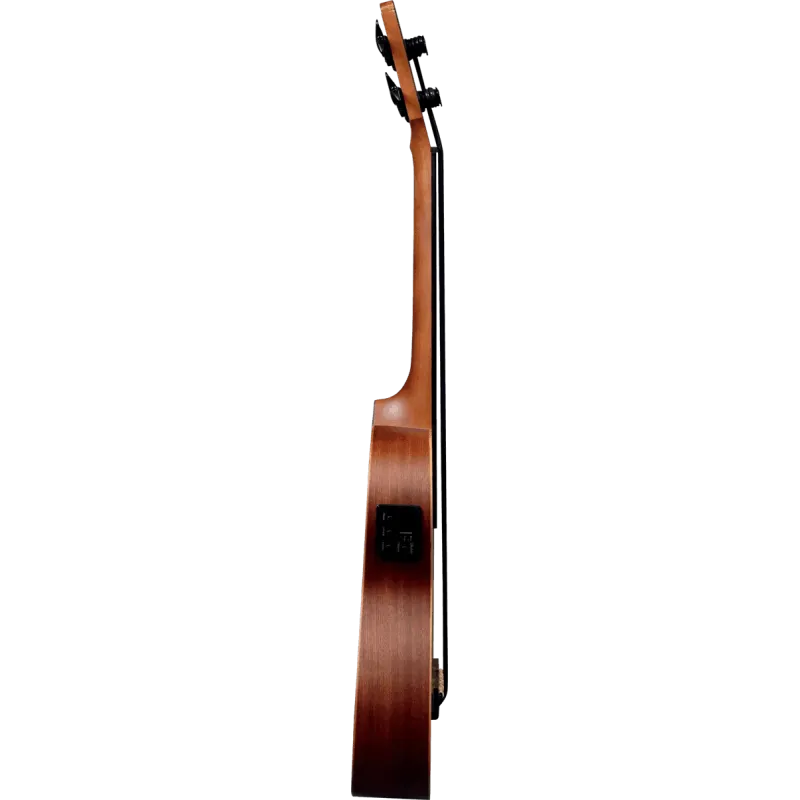 UKULELE BASSE LÂG - TKB150FCE