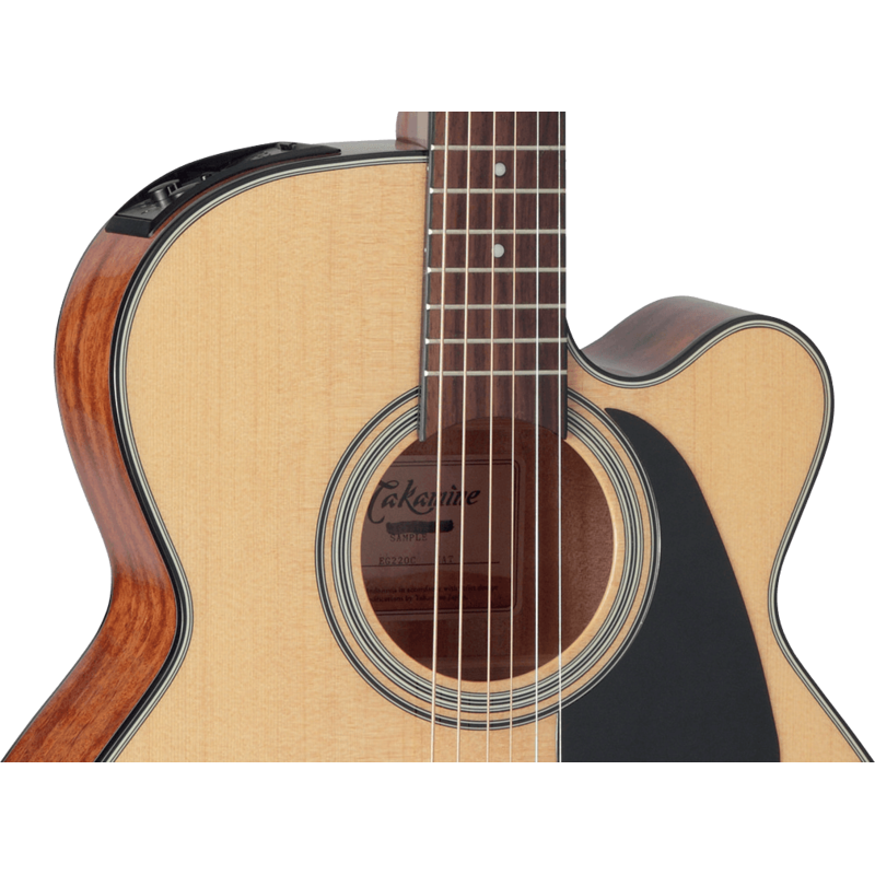 Guitare Folk Takamine Electro-Acoustique GN51CENAT