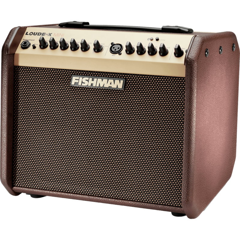 Ampli acoustiques FISHMAN Mini PRO-LBT-500