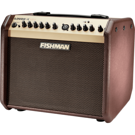 Ampli acoustiques FISHMAN Mini PRO-LBT-500