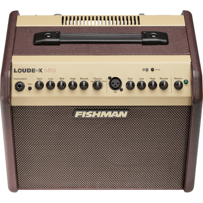 Ampli acoustiques FISHMAN Mini PRO-LBT-500