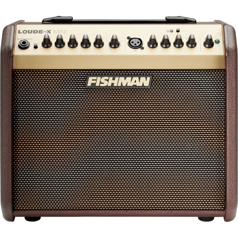 Ampli acoustiques FISHMAN Mini PRO-LBT-500