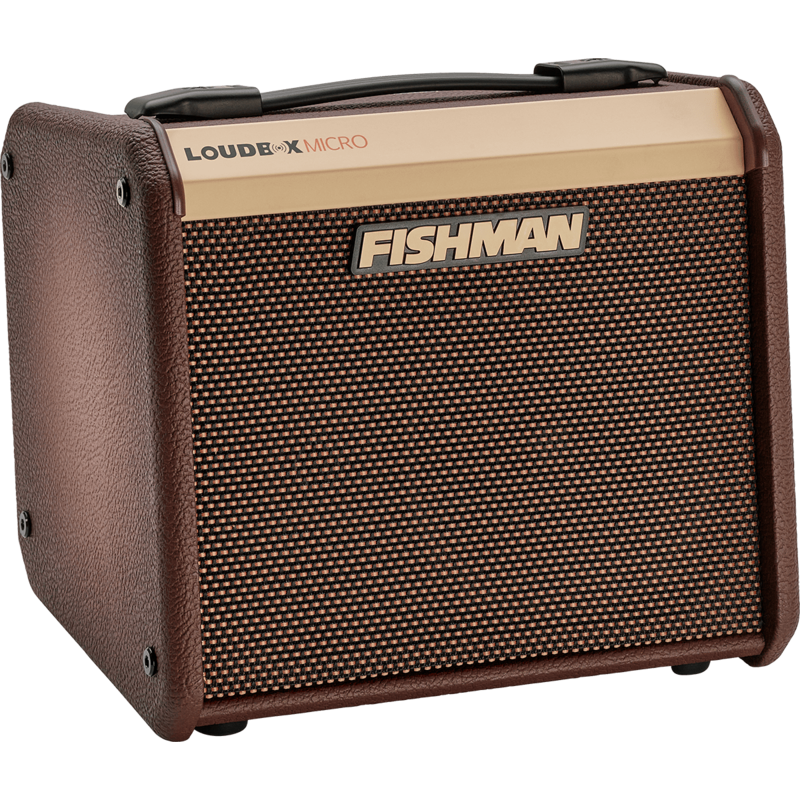 Ampli acoustiques FISHMAN PRO-LBT-400