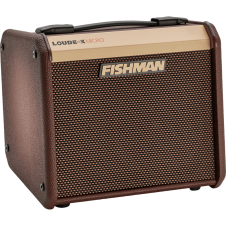 Ampli acoustiques FISHMAN PRO-LBT-400