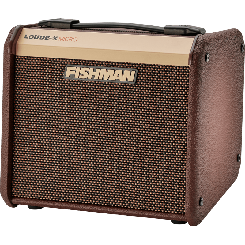 Ampli acoustiques FISHMAN PRO-LBT-400