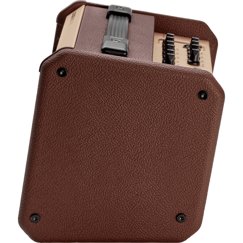 Ampli acoustiques FISHMAN PRO-LBT-400