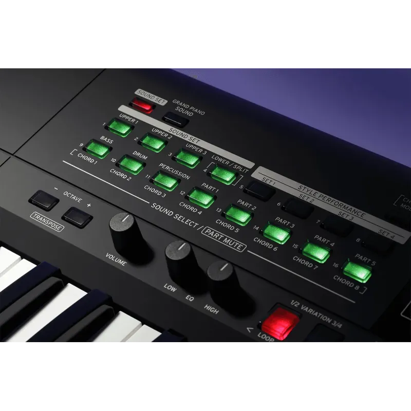 Arrangeur KORG - I3  61 notes non-amplifié