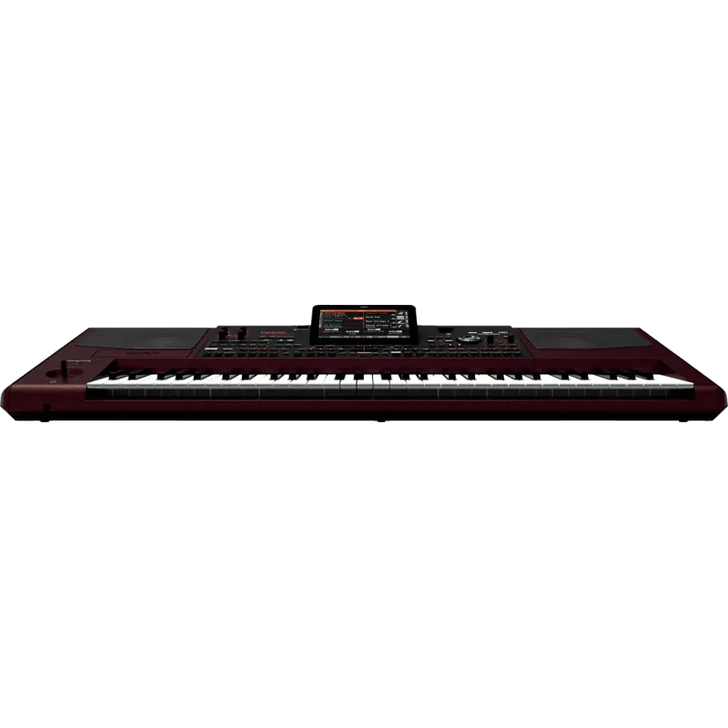Arrangeur KORG - PA1000  61 notes amplifié