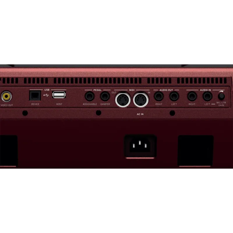 Arrangeur KORG - PA1000  61 notes amplifié