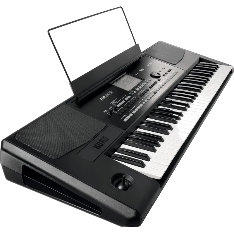 KORG - PA300