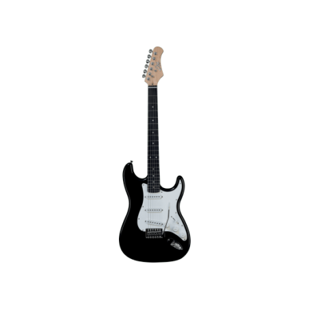 Guitare EKO GEE S300