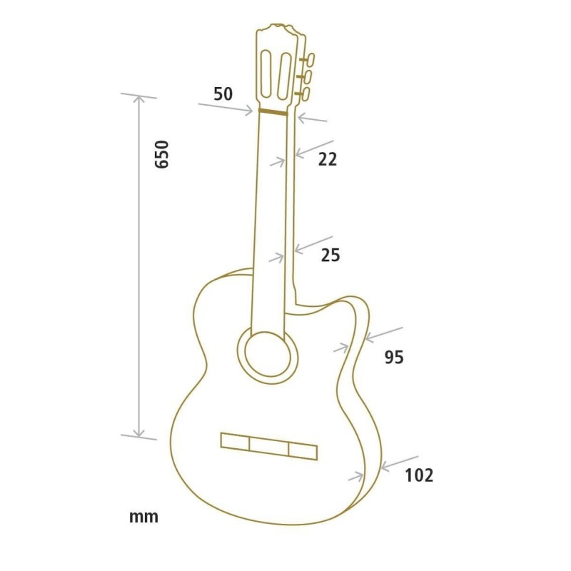 Guitare Cuenca Classique Série Cut-Away 5 CTW